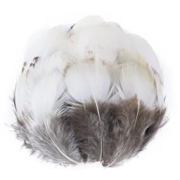 Faisão natural galo penas para artesanato jóias que faz a roupa costura acessórios decoração 5-8cm plumas atacado 50 pçs - Image 4