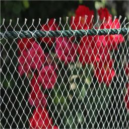 Jardim Nylon Pesca Net Pull, Anti Bird Nets, Rede De Reprodução, Varanda Rede De Segurança, Caindo Net, Proteção De Cerca, Gato E Cão - Image 6