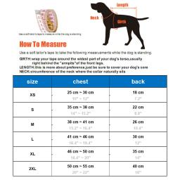 Impermeável com capuz transparente para animais de estimação Jaqueta impermeável Roupas de PVC Macio Impermeável Impermeável para Cães Pequenos Poncho de Chuva Puppy - Image 6