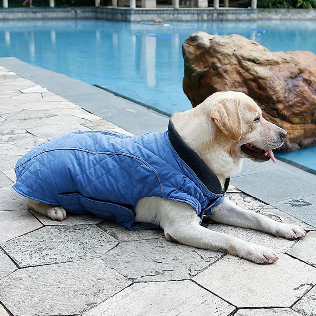 Jaqueta de Inverno Quente e Impermeável para Cães Grandes como Labrador e Bulldog Francês
