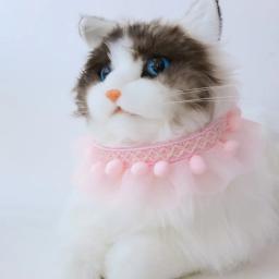 Pequeno hairballs colar moda simples rendas gatos colar coleiras para filhote de cachorro animais de estimação festa suprimentos ajustáveis acessórios - Image 2