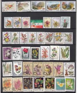 50 pcs/set flores todos diferentes de muitos países NÃO repete com selos postais para coleta - Image 5