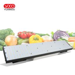 Samsung-LM301H LED Grow Light, Placa V3 com Driver Meanwell, 240W, 480W, 720W, 3000K, 3500K, 660NM, UV, IR, para plantas, Veg, Bloom - Image 6