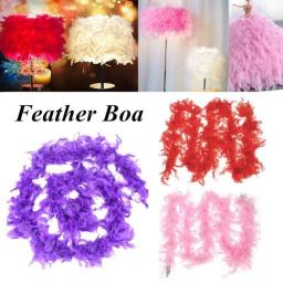 Tira de Pena Boa para Decoração, Artesanato Fofo, Traje De Vestido Extravagante, Traje De Noite De Garça, Festa De Casamento, Artesanato De Penas, 2m - Image 6