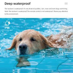 800m coleira de treinamento do cão animal estimação choque elétrico anti latido dispositivo controle remoto à prova dwaterproof água recarregável para todos os cães tamanho - Image 6