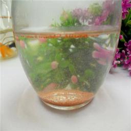 Peixe peixes tropicais reais natural, tipo de pelota para alimentação de peixes pequenos, gemas naturais puras, ovos de camarão, deshulled - Image 2