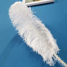 10 pçs natural branco avestruz pena artesanato diy pluma penas jóias fazendo festa de casamento natal plumas decoração 15-70cm - Image 4