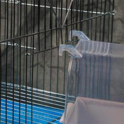 Caixa de plástico para banho de pássaros, 1 peça, para banheira de pássaros, para animais de estimação, tigela para pássaros, papagaio, pendurado, gaiola para banho de pássaros - Image 4