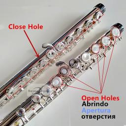 Cupronickel profissional C flauta chave, banhado a prata, instrumentos musicais com estojo e acessórios, Top Japão, FL-471, 16 buracos - Image 5