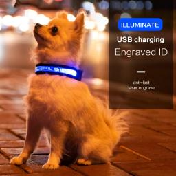 Tag ID personalizado para animais de estimação, coleira, carregamento USB, LED, identificação gravada, personalizado, placa de identificação, acessórios de nylon, cachorro e gato - Image 2