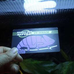 Lâmpada de luz uvb para répteis, testes com placa de teste uv, papel, répteis, terrário, medidor de vida eficaz, suprimentos para animais de estimação - Image 2