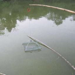 Rede de pesca dobrada para peixe pequeno, camarão, minnow, caranguejo, iscas elenco, malha armadilha, elevador, elevação, captura Fish Net, 60cm - Image 3