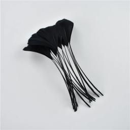 Penas De Faisão Preto Para Artesanato, Decoração De Festa De Casamento, Galo Ganso Pena De Avestruz, Acessórios DIY, Dream Catcher Plume, 20Pcs - Image 6