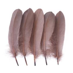 10/50/100 peças penas de ganso naturais tingidas várias penas para artesanato joias de casamento acessórios de festa 15-20cm/6-8 polegadas - Image 3