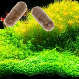 2022 novo 40 pçs planta aquática água raiz fertilizante condensado aquário tanque de peixes cilindro - Image 2