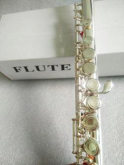 Profissional Prata Flauta, Instrumento Musical, Prata, C Tuning, E-Key, Alta Qualidade, Música Grátis, Modelo 211SL - Image 1