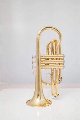 Trompete de metal com estojo e bocal de alta qualidade, dourado, bb, para trompete, instrumentos musicais - Image 4