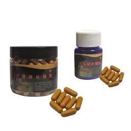 Cápsula super concentrada bactérias para aquário, purificador para limpeza tanque peixes - Image 4