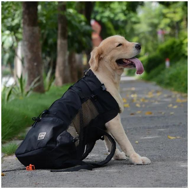 Mochila de Transporte Respirável para Pets: Ideal para Viagens, Caminhadas e Aventuras ao Ar Livre