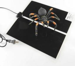 Incubadora de temperatura ajustável Mat para Pet Répteis Almofada de aquecimento Caixa de terrário quente Ninho de formiga Controlador de temperatura ajustável 5-35W - Image 4