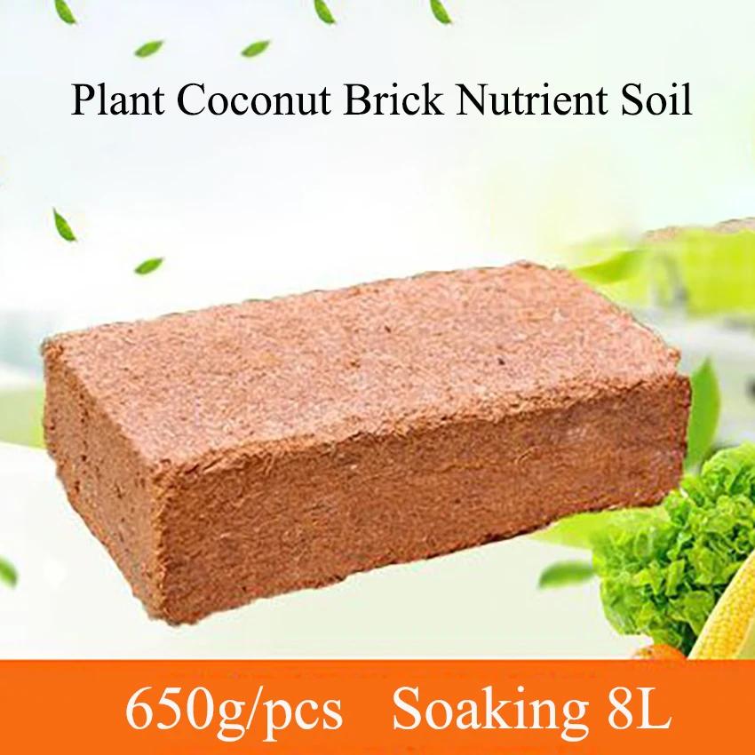650g planta universal tijolo de coco solo nutritivo verde natural planta tijolo de coco para o plantio de jardim flores vegetais solo - Image 1