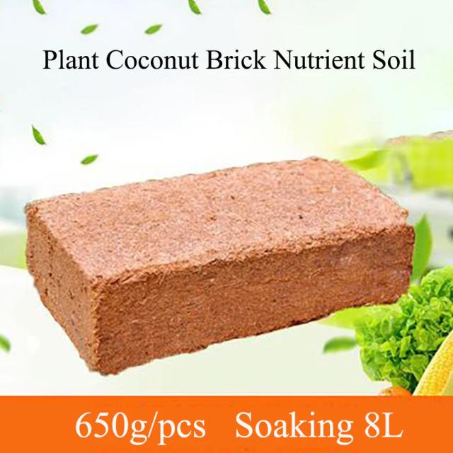 Solo Nutritivo Universal de Coco para Jardinagem: Tijolo de 650g Ideal para Flores e Vegetais