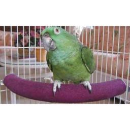 Papagaio animal de estimação u forma barra suporte poleiro moagem garra brinquedo suprimentos pássaro gaiola decoração acessórios do pássaro - Image 3
