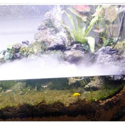 Umidificador de ar ultra-sônico LED, Névoa Maker, Fogger, Fonte De Água, Lagoa, Cabeça Atomizador, Nebulizador, Decoração Home, 24V - Image 6