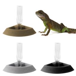 Alimentador de répteis automático, bebedouro de tartaruga, tigela de comida e água, dispensador de pequeno animal, terrário, prato de canto para lagarto - Image 1