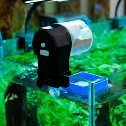 Alimentador automático de peixes à prova de umidade alimentador de peixes elétrico sincronismo inteligente para férias aquário + filtro de aquário - Image 2