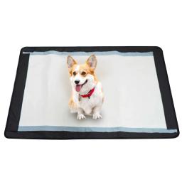 Fralda para cães e gatos, suporte à prova d'água para fraldas e fraldas para cães, material para animais de estimação - Image 1