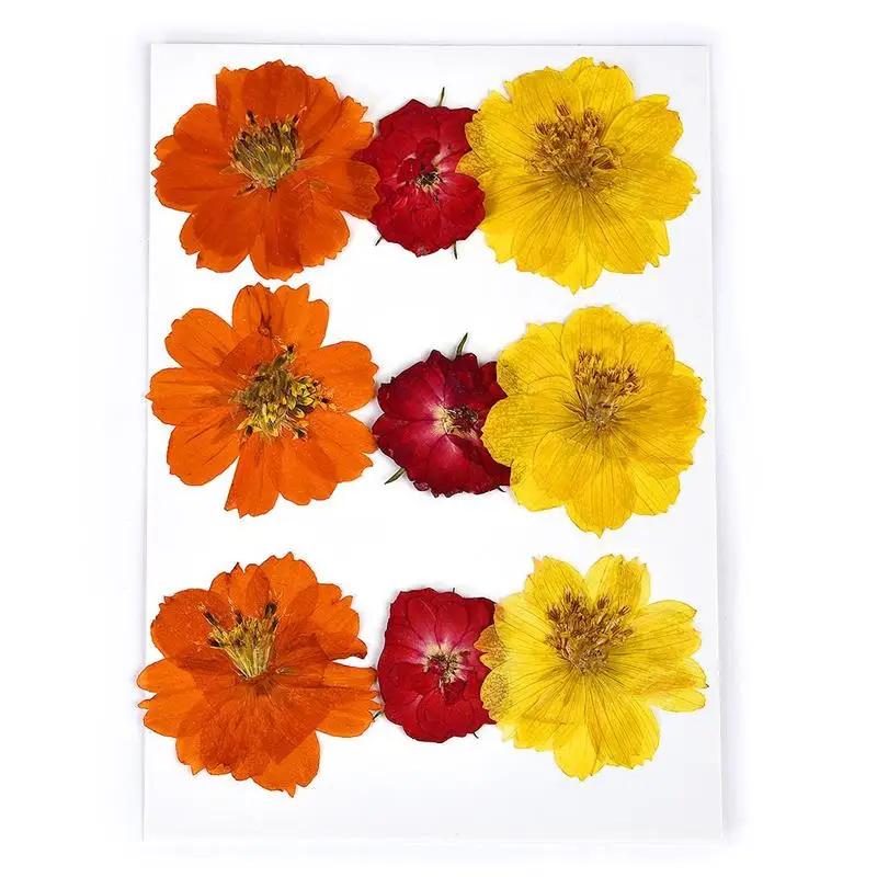 Resina UV Flores Secas, Adesivos de Flores Naturais, Decalque de Beleza Seca para Epóxi DIY, Enchimento Decoração Jóias, 1 Pacote - Image 1