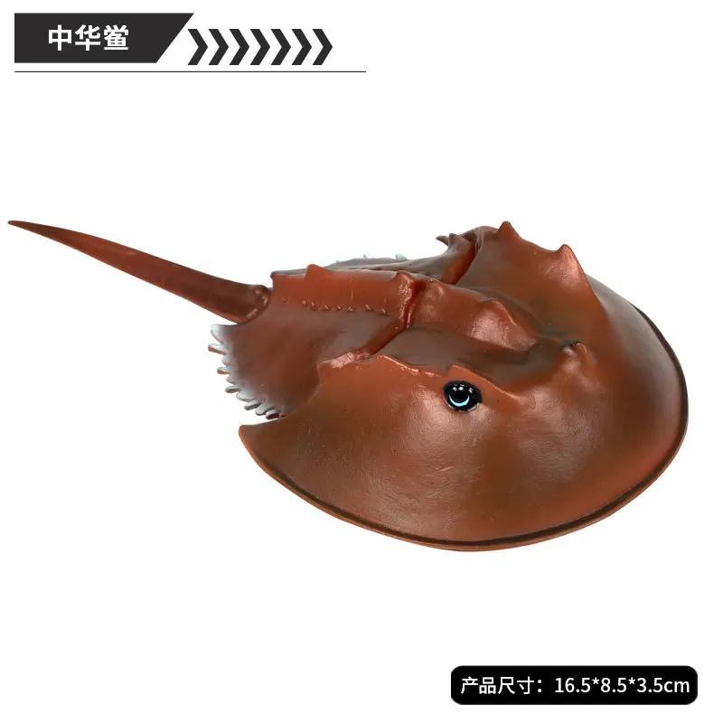 Figuras de ação colecionáveis de animais do mar, modelos de figuras de brinquedo, imitação de caranguejo, skate, ferradura, polvo, tartarugas do mar, presente para crianças - Image 1