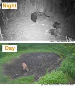 Câmera de trilha para caça, sem fio, infravermelho, visão noturna, armadilha fotográfica, hc810m, 2g, mms, sms, smtp, 20mp, 1080p - Image 5