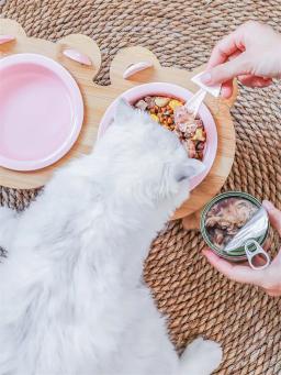 Alimentador de gato de cerâmica, tigela para cão, único e duplo, para animais de estimação, alimentador de cão, tigela de água com suporte, prato de alimentação, alimentação, pet, suprimentos - Image 3