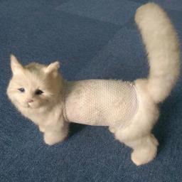 Profissional Pet Mesh Elastic Bandage, Vestido pós-operatório para gato e cachorro, Suprimentos especiais de saco de urina cirúrgica veterinária - Image 6
