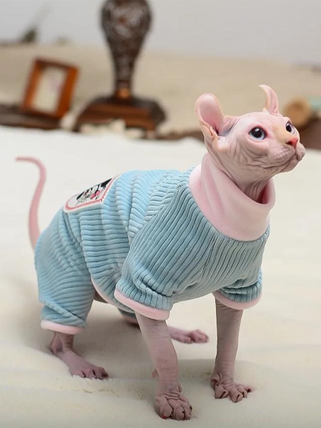 Roupas de Algodão Macio e Quente para Gatos: Casacos com Capuz, Jumpers e Fantasias para Gatinhos Sphynx