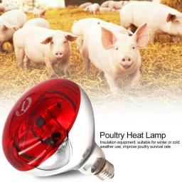 Lâmpada de aquecimento de criação para porco frango 100/150/200/250w lâmpadas de calor luz agrícola infravermelho ray led hatch cão gato cor vermelha - Image 4