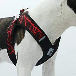 Coleira para cães, suprimentos para animais de estimação, ambiente externo, colete ajustável, para cães pequenos e médios, acessórios para pet - Image 3