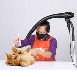 Secador de cabelo para animais de estimação, tubo de ajuste de escamação ajustável, flexível, beleza de banho, secagem rápida - Image 2