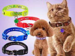 Coleiras ajustáveis 1.0 de nylon com sinos, para animais de estimação, 3 peças, charmoso, colar para cães pequenos, gatos, suprimentos para animais de estimação - Image 6