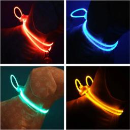 Coleira LED luminosa para grande gato e cão, Pet fornecimentos, trela, chihuahua, acessórios para animais de estimação - Image 1