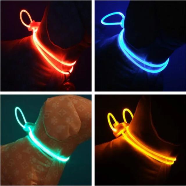 Coleira LED Brilhante para Gatos e Cães Grandes, Acessórios Pet com Trela para Chihuahua e Outros Animais de Estimação