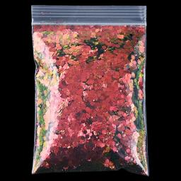 50g camaleão cor mudança chunky glitter mistura nair arte slime lantejoulas camaleão cor mudando glitter ultra artesanato brilhos - Image 5