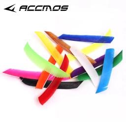 Pena para tiro com arco e flecha de caça, 100pcs, multicolor, comprimento total, pena de peru real, para fotografar - Image 2