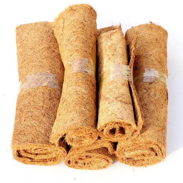 Tapete Natural de Coir para Répteis e Tartarugas - Ideal para Terrários com Fibra de Coco