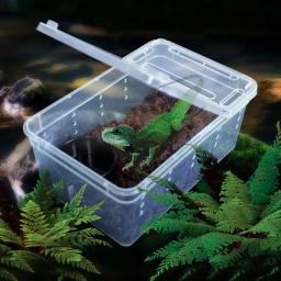 Terrário para répteis, caixa de plástico transparente, transporte de insetos, caixa de alimentação para reprodução, transporte de comida viva, drop shipping - Image 2