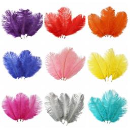 Penas coloridas de avestruz, 10 peças de 15-20cm para decoração, artesanato de joias faça você mesmo, penas de avestruz brancas, acessórios de decoração, casamento - Image 1