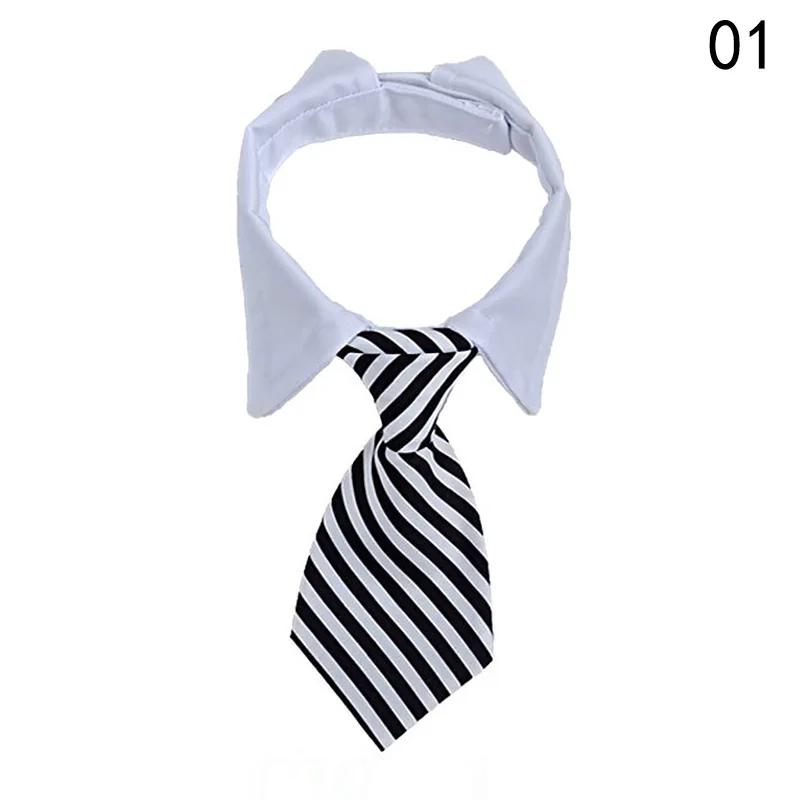 Gato do cão de estimação formal gravata borboleta colar para gato do cão acessórios para animais de estimação terno animal ajustável listrado laço pescoço para festa - Image 1