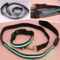 2.5cm luminosa coleira de gato do cão de estimação moda led cão pet noite segurança collar piscando luz acima de náilon colar banda suprimentos para animais estimação quente - Image 4